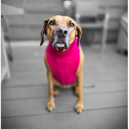 JUMPER - PINK  -100 % Wolle vom Merino Schaf