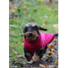 JUMPER - PINK  -100 % Wolle vom Merino Schaf