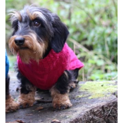 JUMPER - PINK  -100 % Wolle vom Merino Schaf