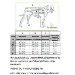 JUMPER - PINK  -100 % Wolle vom Merino Schaf