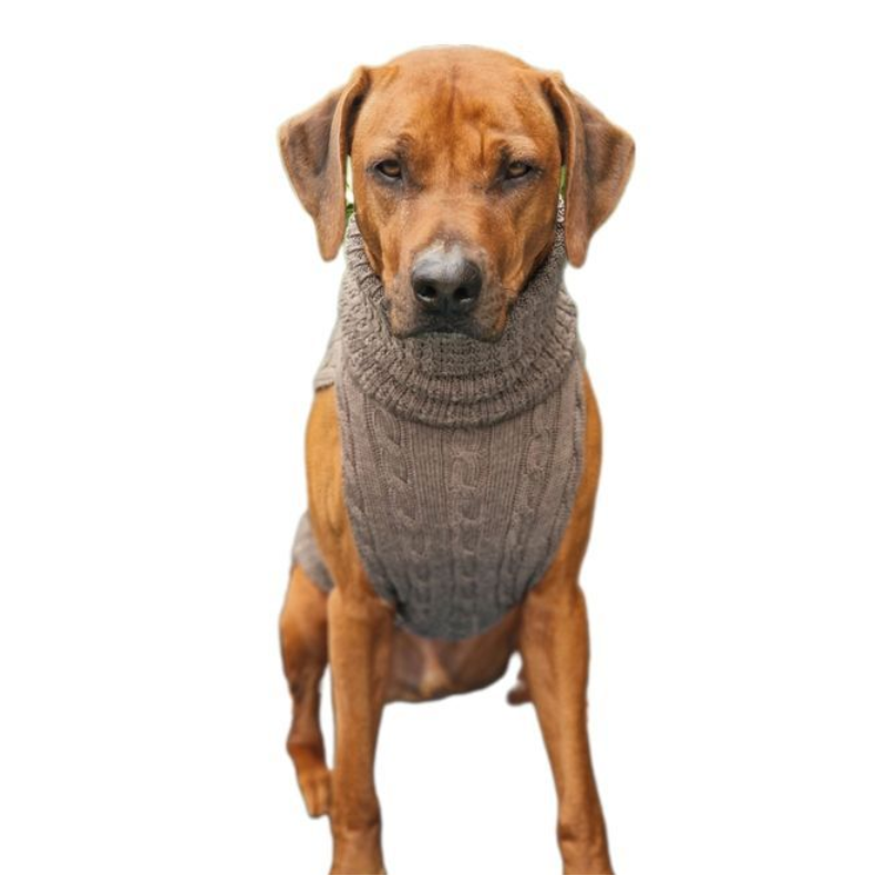 JUMPER- Hazelnut, 100 % Wolle vom Merino Schaf