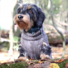 JUMPER- Hazelnut, 100 % Wolle vom Merino Schaf