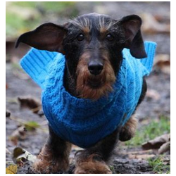 JUMPER - TÜRKIS -100 % Wolle vom Merino Schaf