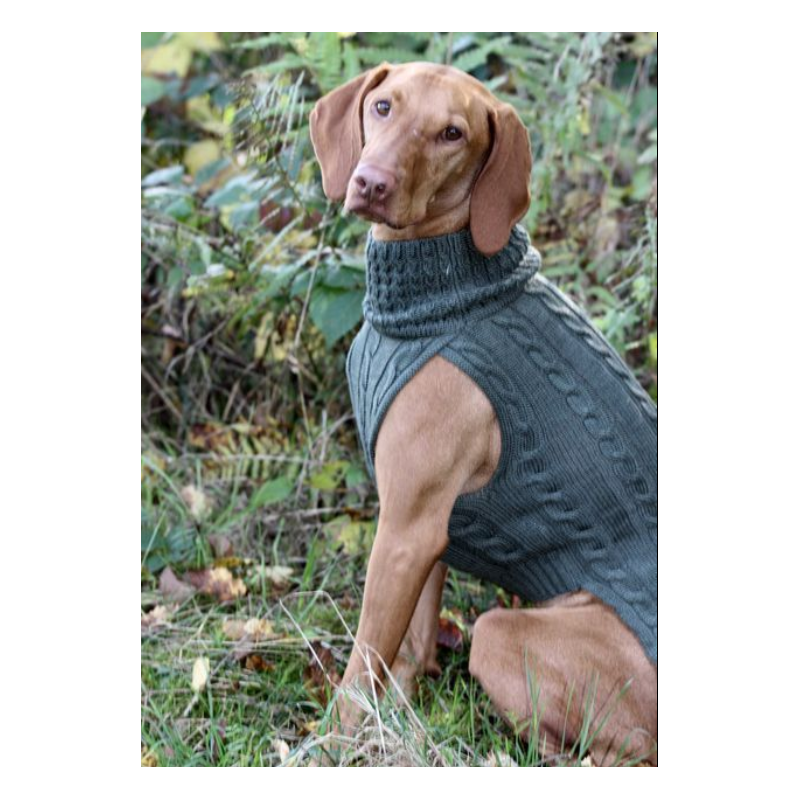 JUMPER TASTE OF OLIVE - 100 % Wolle
