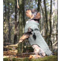 JUMPER TASTE OF OLIVE - 100 % Wolle