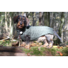 JUMPER TASTE OF OLIVE - 100 % Wolle