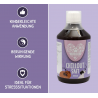 Chillout Saft für Hunde 500ml
