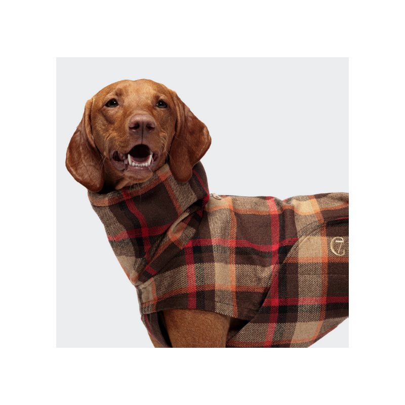 Cloud7 Hundemantel Glasgow Orange