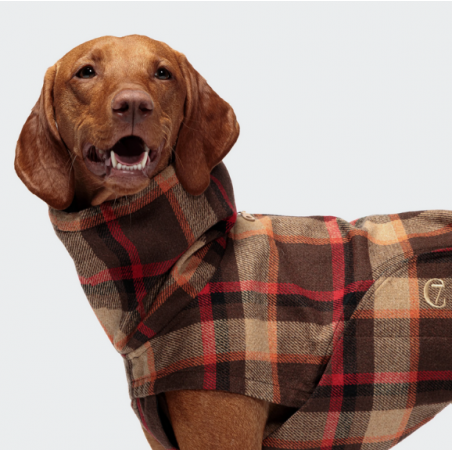 Cloud7 Hundemantel Glasgow Orange