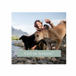 No 01 - nacanis Huhn - Hunde - Hanfsnack - 180 Stk.