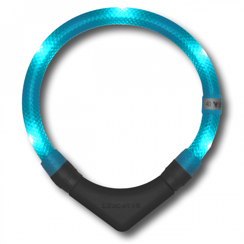 LEUCHTIE Easy Charge - LED Halsband für Hunde - türkis