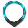LEUCHTIE Easy Charge - LED Halsband für Hunde - türkis