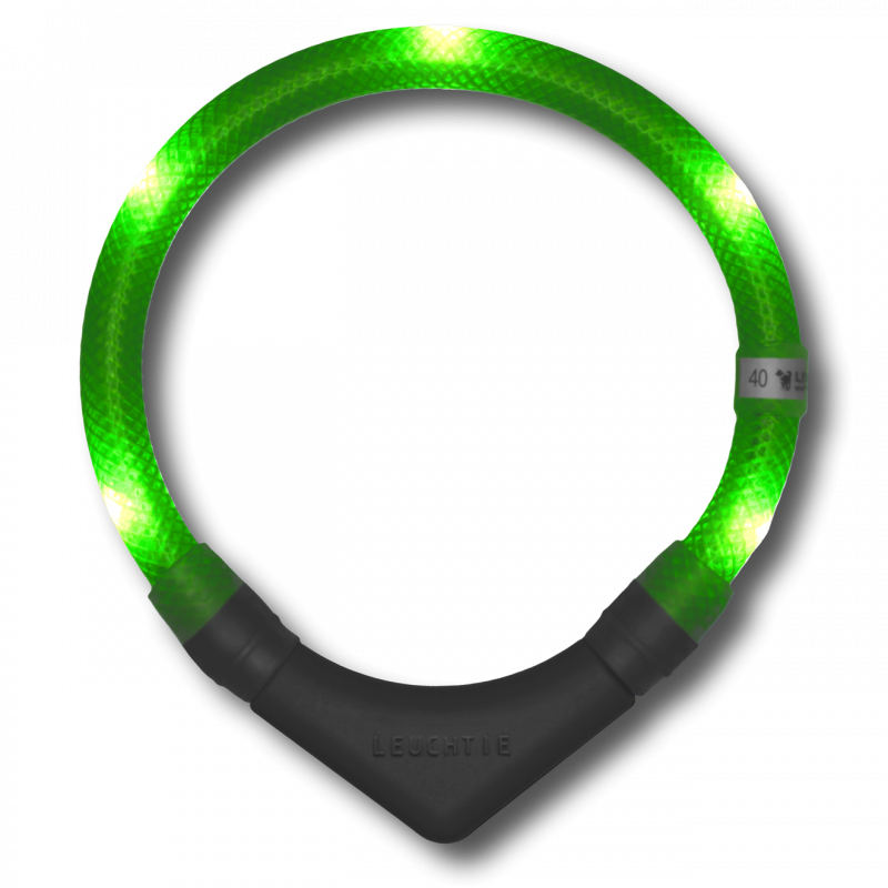 LEUCHTIE Easy Charge - LED Halsband für Hunde - neongrün
