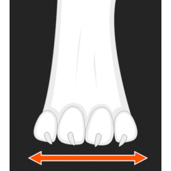 Hundebooties Protector bootie high (4Stück)