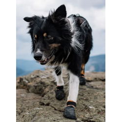 Hundebooties Protector bootie high (4Stück)