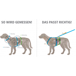 anny-x Brustgeschirr Fun Kastanie / Limited Edition