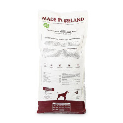 IP - Irisches Weiderind & Freiland-Huhn mit Gemüse & Kelp-Alge, Adult