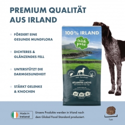 Angebot !!! Sortimentsaufgabe - Trockenfutter - Lachs mit Gemüse & Kelp-Alge, Adult