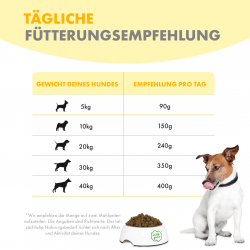 IP - Irisches Freiland-Huhn mit Gemüse & Kelp-Alge, Puppy