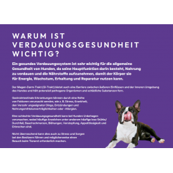 Peptide+ Verdauungspflege-Rezeptur (getreidefrei)