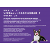 Peptide+ Verdauungspflege-Rezeptur (getreidefrei)