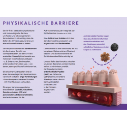 Peptide+ Verdauungspflege-Rezeptur (getreidefrei)
