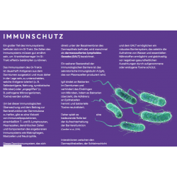 Peptide+ Verdauungspflege-Rezeptur (getreidefrei)