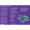 Peptide+ Verdauungspflege-Rezeptur (getreidefrei)