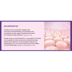 Peptide+ Verdauungspflege-Rezeptur (getreidefrei)