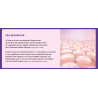 Peptide+ Verdauungspflege-Rezeptur (getreidefrei)