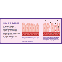 Peptide+ Verdauungspflege-Rezeptur (getreidefrei)
