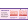 Peptide+ Verdauungspflege-Rezeptur (getreidefrei)