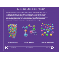 Peptide+ Verdauungspflege-Rezeptur (getreidefrei)