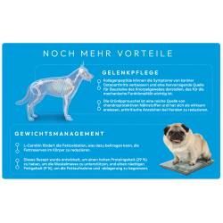 Peptide+ Gewichtskontrolle und Gelenkpflege-Rezeptur (getreidefrei)