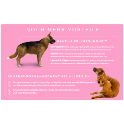 Peptide+ Haut- und Fellpflege-Rezeptur (getreidefrei)