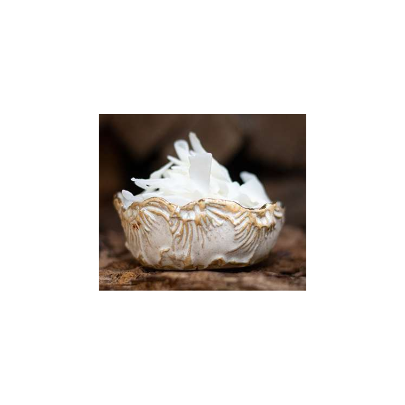 P&P Kokosflocken 400g