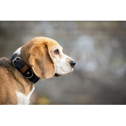 Halsband Klassik Soft Royal dunkelblau - cognac / silber
