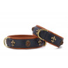 Hundehalsband Lord & Lady dunkelblau - cognac / gold