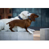 Hundehalsband Lord & Lady dunkelblau - cognac / gold