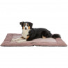 Liegematte Viviana altrosa HOME Edition