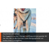 Zuggeschirr Nansen nome harness 5.0 - Non-Stop Dogwear