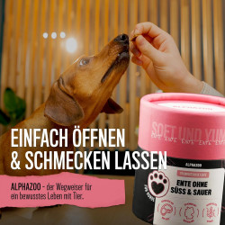 Ente Ohne Süß & Sauer I Trainingssnacks