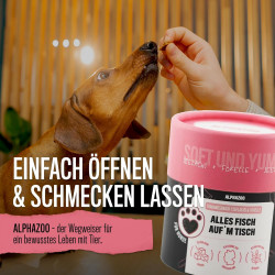 Alles Fisch Auf'm Tisch I Trainingssnacks