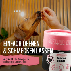 Schwing Die Hufe I Trainingssnacks