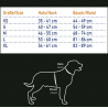 Hunde Schwimmhilfe -neon orange-
