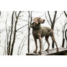 Cloud7 Hundemantel Yukon Teddy Khaki