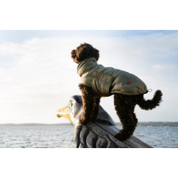 Cloud7 Hundemantel Yukon Teddy Khaki