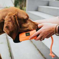 Trainer Snack Hunter Dummy mit Seil, orange/schwarz 20 cm (34 cm Gesamtlänge)