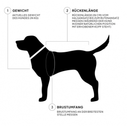 Cloud7 Hundemantel Everest PRO Olive