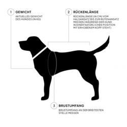 Cloud7 Hundepullover Gotland Anthra